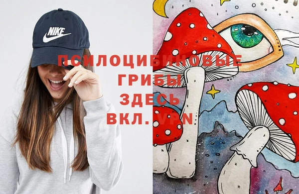 метадон Костерёво